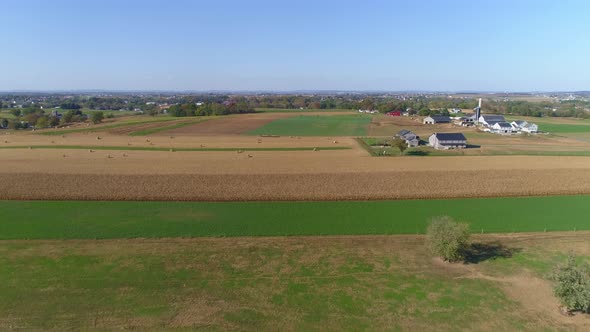 Harvested Corn Fields and Rolled Corn Stalks and Amish Farms