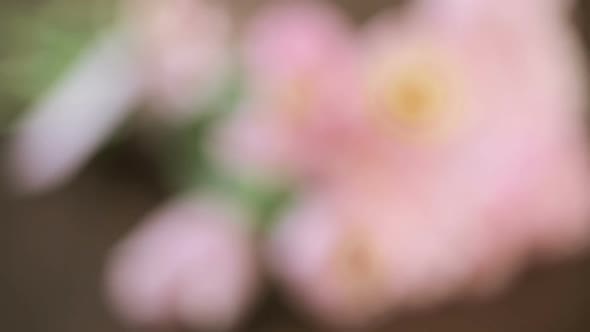 Light pink tulips on a wood background.