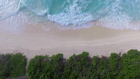 Aerial View of Tropical Island with Sea Vegetation and Shoreline