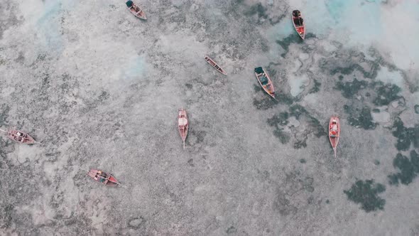 Lot Fishing Boats Stuck in Sand Off Coast at Low Tide Zanzibar Aerial View