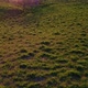 Aerial View of Beautiful Countryside at Sunset - VideoHive Item for Sale