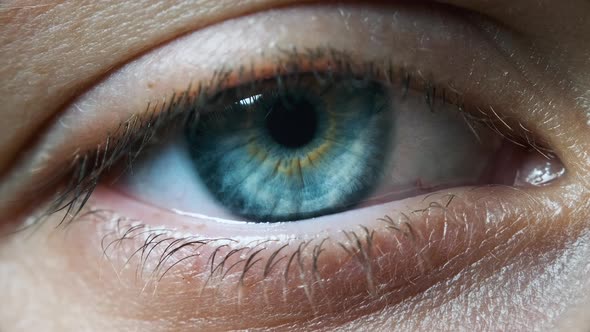 Beautiful Blue Woman Eye, Extreme Close-up. Sight. Detail View Young Girl's Eye