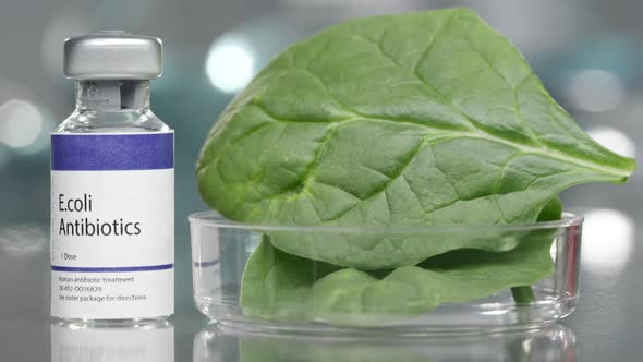 E.coli antibiotics next to bowl of spinach in medical lab