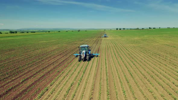 Aerial Shot of Working Tractor on Agricultural Field at Bright Summer Day. 