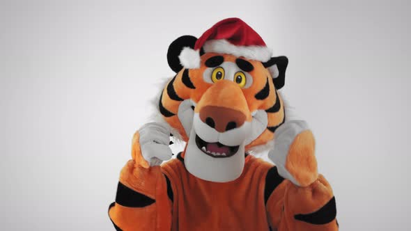 Man in Tiger Costume and Santa's Red Hat Dances on a White Winter Background