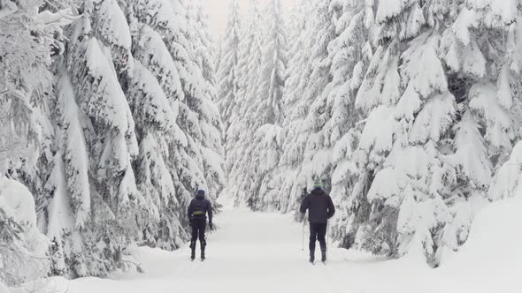 Two Crosscountry Skiers Ski Down a Trail in a Snowcovered Forest Landscape in Winter  Rear View