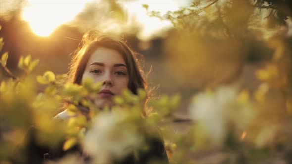 Young Happy Girl with Gorgeous Hair Walks Among Flowering Trees in the Rays of the Setting Sun