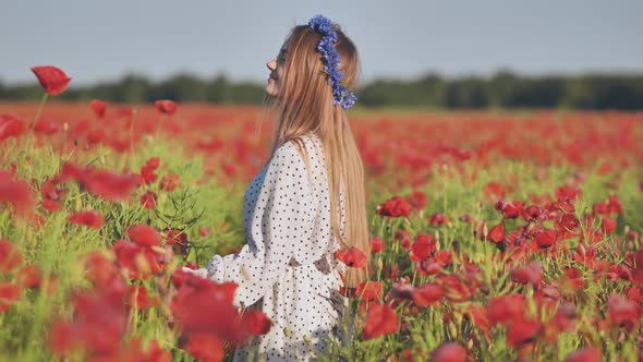 A Russian Girl with a Blue Wreath of Cornflowers Poses in a Field of Poppies