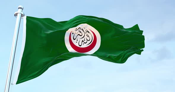 Organization Of Islamic Conference  flag waving