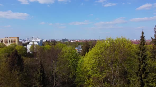 Pooky mysterious forest trail with big trees. Marvelous aerial view flight lift off aerial drone fli