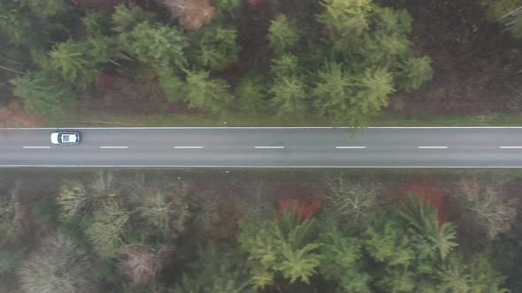 Tracking a car from above which is driving through a road in a forest.