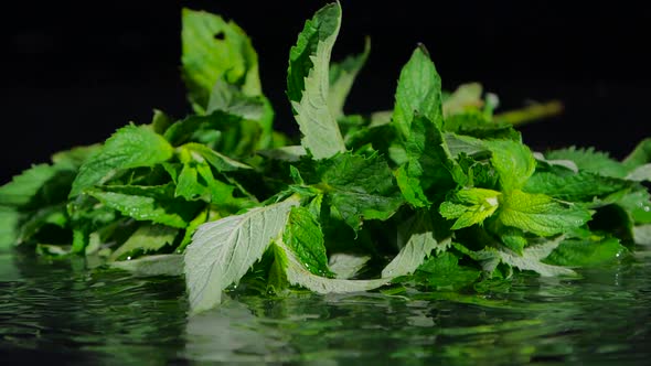 Mint Drops Into Water on a Black Background