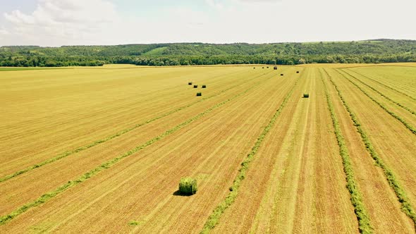 Summer field with grass bales on it.