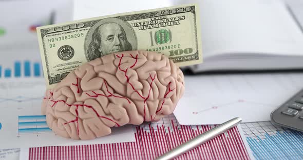 Human Brain of Dollar Bill Lying on Table with Documents Closeup  Movie Slow Motion