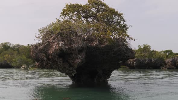 Lagoon at Kwale Island in Menai Bay Mangroves with Reefs and Rocks Zanzibar