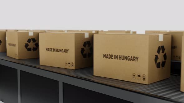 Boxes with MADE IN Hungary Text on Conveyor