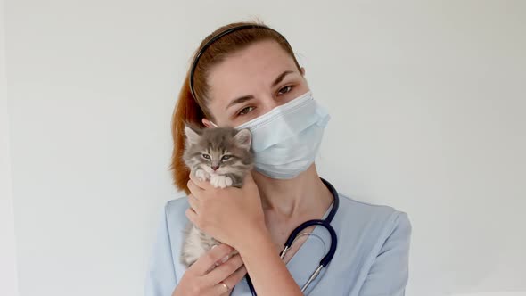 Striped Gray Cat in Doctor Hands