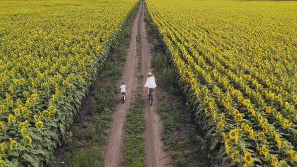 Aerial View of Woman and Little Boy Riding Bicycles