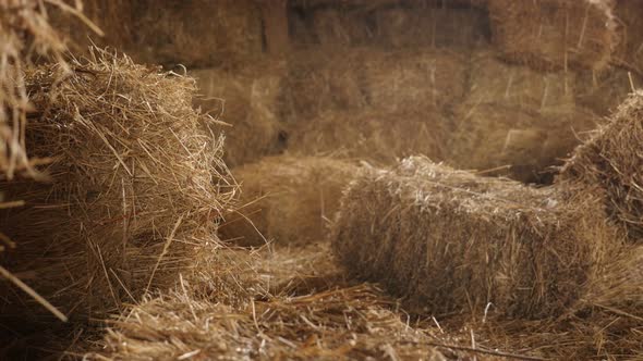 Rectangular bales in the barn close-up  4K 2160p 30fps UltraHD tilting footage - Wheat hay stacks in