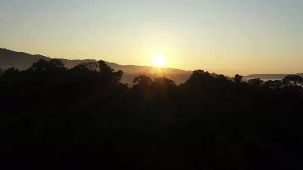 Drone shot that flies towards the silhouettes of tree canopy against the bright orange sun and sky