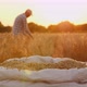 A Full Sack of Barley Harvest in a Field at Sunset - VideoHive Item for Sale