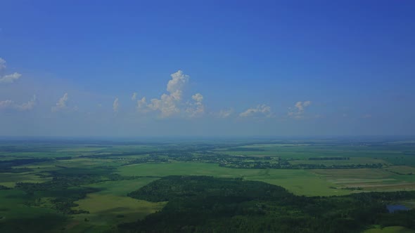 Aerial View On The Forest