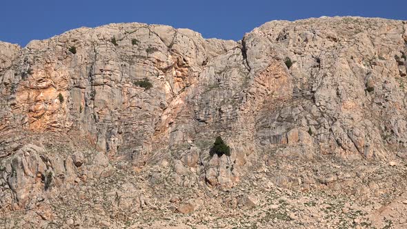 Rocky Flat Mountain Wall With Sparse Trees