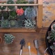 Top view of Cactus gardening in mini wooden glass house. - VideoHive Item for Sale