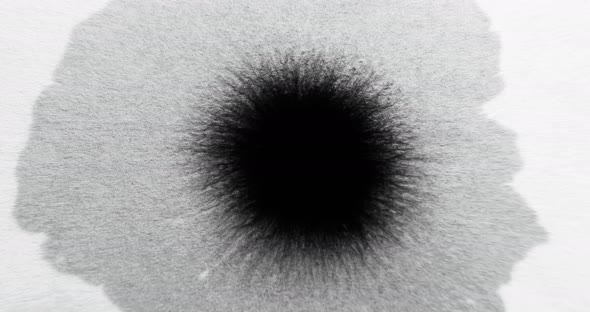 Ink Drop Paint Water Spatter Black Blob on White alt