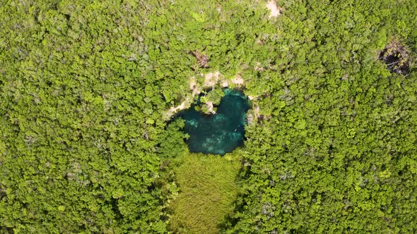 Aerial View of the Beautiful Heart Shaped Cenote