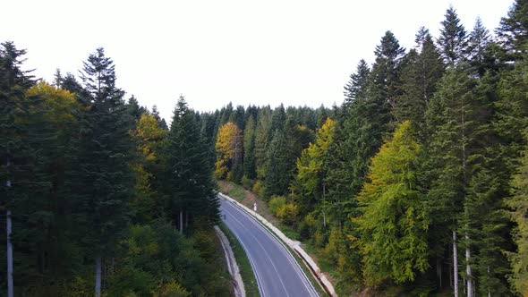 Road in the Mountains