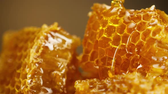 Sweet Honey Flowing on Honeycomb Closeup