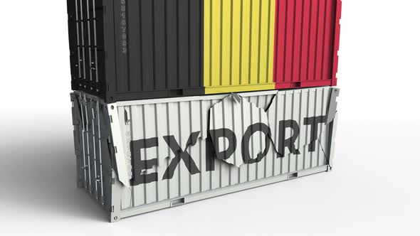 Container with Flag of Belgium Breaks Container with EXPORT Text alt