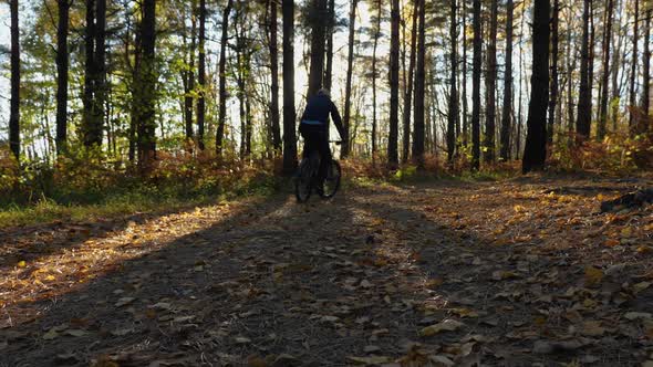 A man with his back to the camera is riding his mountain bike through an autumn forest
