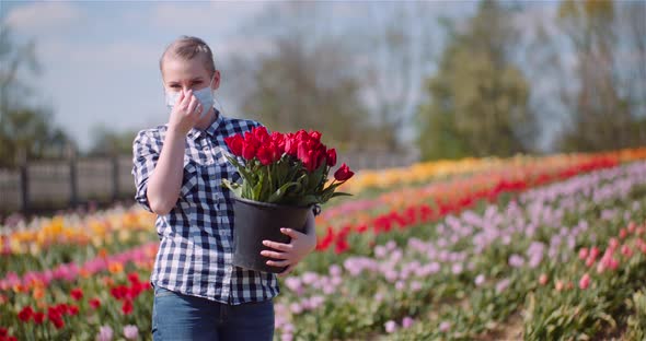 Woman Puting Protective Mask, Holding Tulips Bouquet in Hands While Walking on Tulips Field