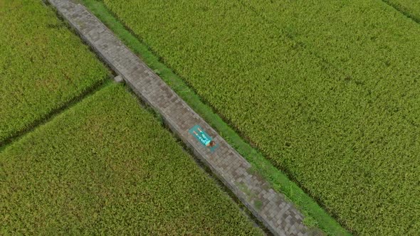 Aerial Slowmotion Shot of a Young Woman Practicing Yoga on a Beautiful Rice Field