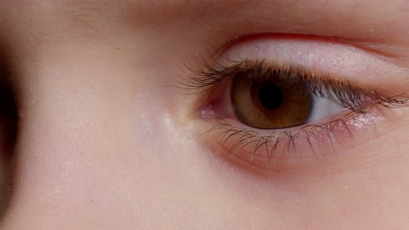 Highly Detailed Macro Shot Opening Closing Brown Color Pigmentation Eyes of Little Children Girl