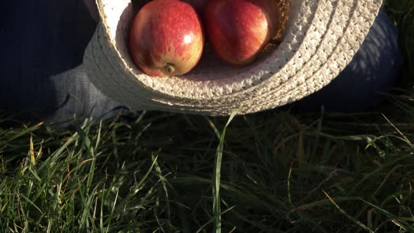 Ripe red apples falling from a straw hat medium shot