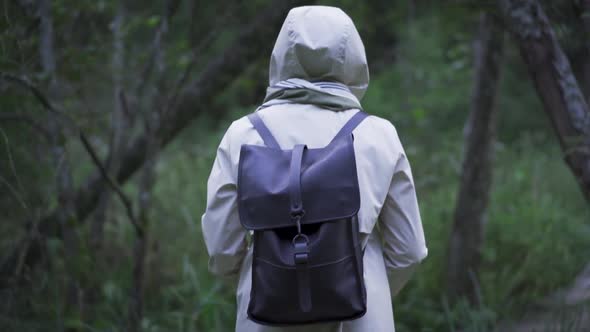 Person Hiking In Wild Woods