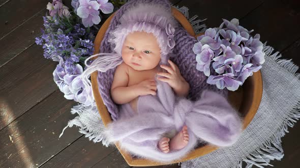 Newborn Girl in Heartshaped Basket Among Purple Flowers
