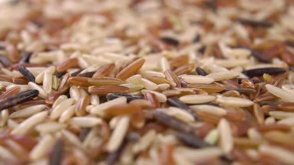 Raw rice mix. Basmati integral, red and wild. Macro. Falling in slow motion