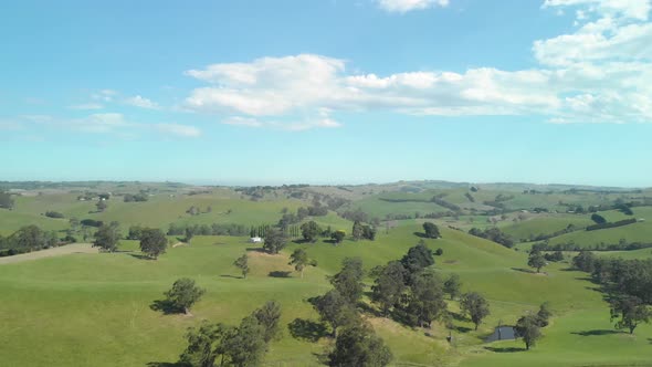 A aerial shot of the green farmlands and hills of Victoria Australia.