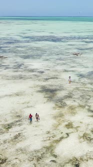 Vertical Video of Low Tide in the Ocean Near the Coast of Zanzibar Tanzania