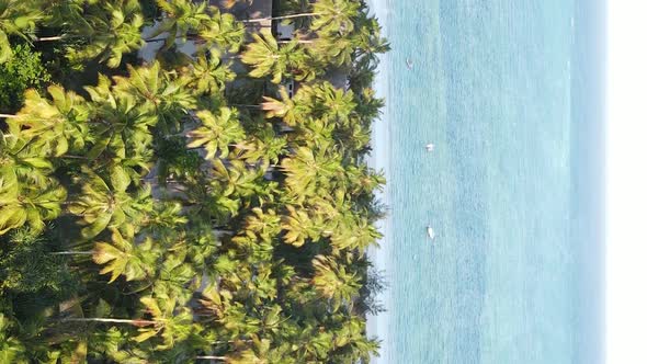 Zanzibar Tanzania  Vertical Video of the Ocean Near the Coast Slow Motion