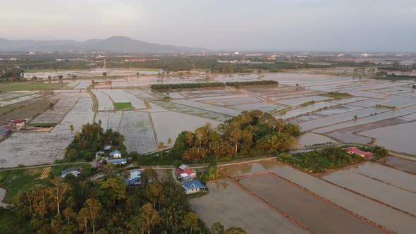 Aerial view evening sunset light over Malays natural paddy