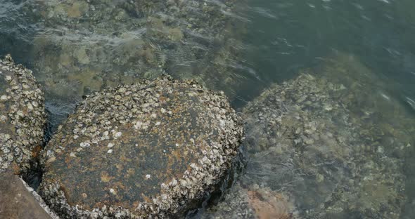 Sea coast with rock and stone