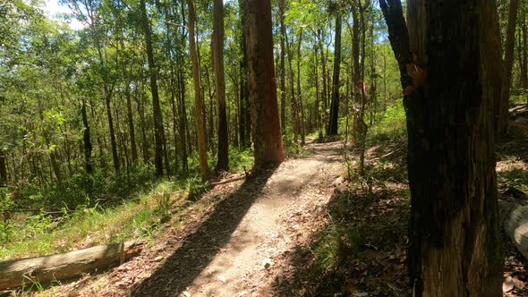 Cross Country Mountain Biker quickly passing camera on dry Australian trail with a small whip over a