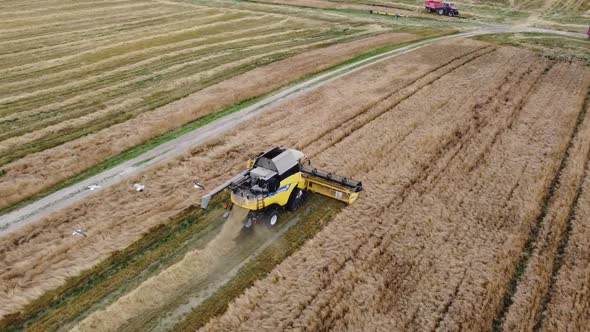 Agricultural Farm Harvesting Harvester Harvesting Wheat Harvest Season