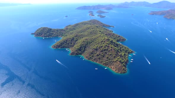 Calm and Uninhabited Forest Island in The Sea Without Human Habitation