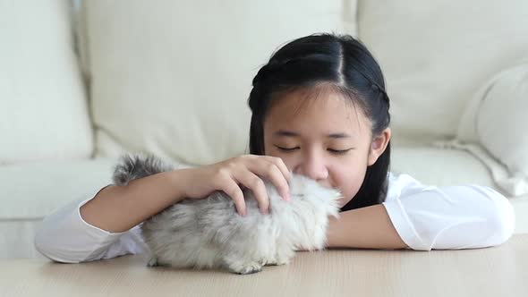 Cute Asian Child Playing With Persian Kitten Together